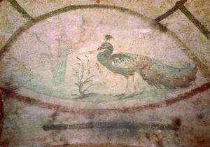 Peacock, 3rd Century, Catacombe di Priscilla, Cubicolo del Velatio
